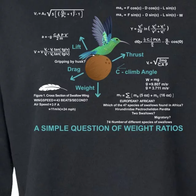 Simple Question Of Weight Ratios Cropped Pullover Crew