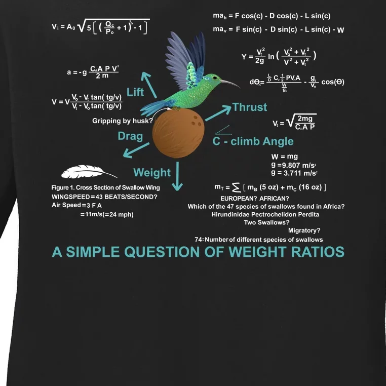 Simple Question Of Weight Ratios Ladies Long Sleeve Shirt