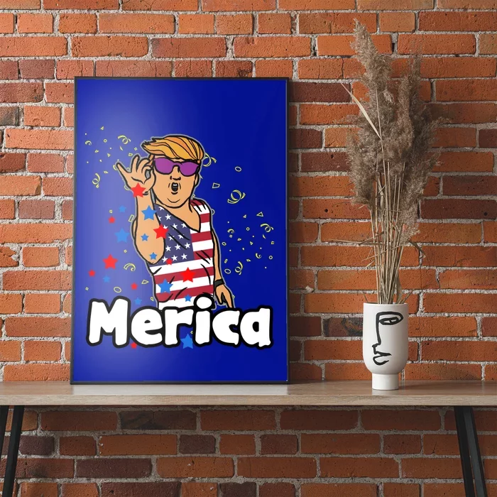 Salting Red Blue Stars Trump Merica Funny 4th July Funny Gift Poster