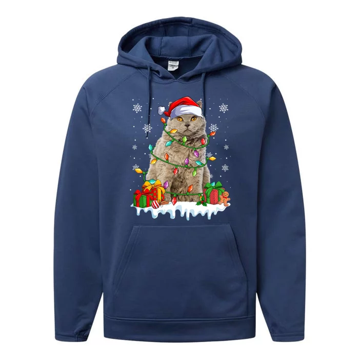 Selkirk Rex Cat Xmas Light Christmas Kitten Lover Cute Gift Performance Fleece Hoodie