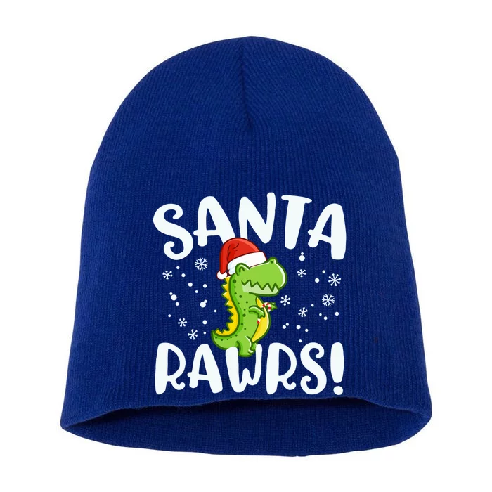 Santa Rawrs Green Dinosaur Cute Reptile Christmas Gift Great Gift Short Acrylic Beanie