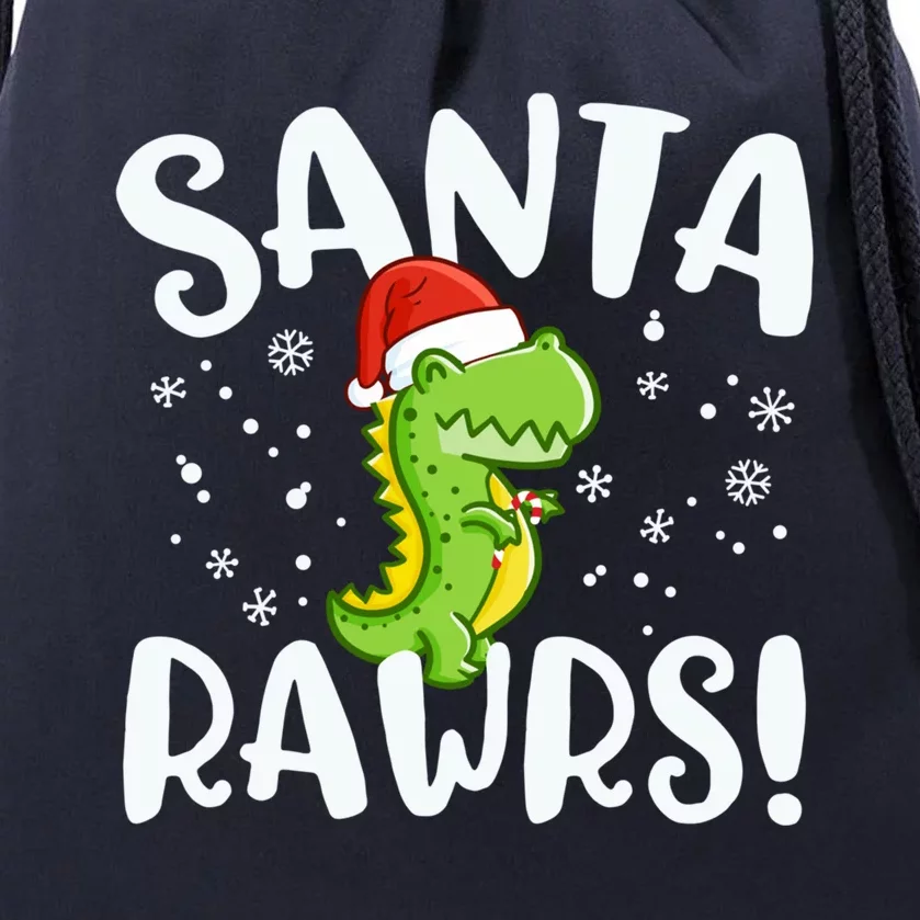 Santa Rawrs Green Dinosaur Cute Reptile Christmas Gift Great Gift Drawstring Bag