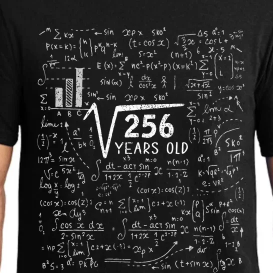 Square Root Of 256 16th Birthday 16 Year Old Gifts Math Bday Pajama Set