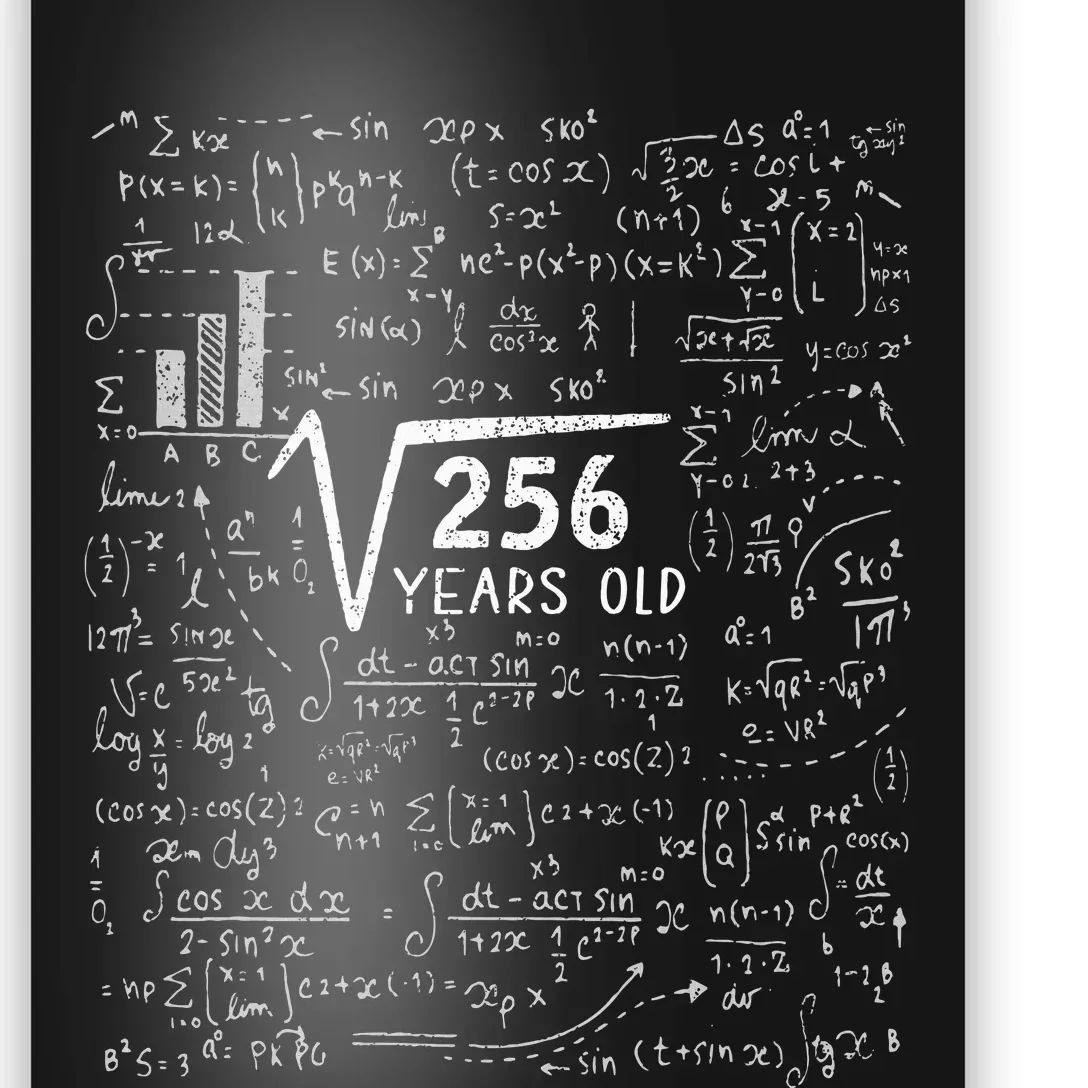 Square Root Of 256 16th Birthday 16 Year Old Gifts Math Bday Poster