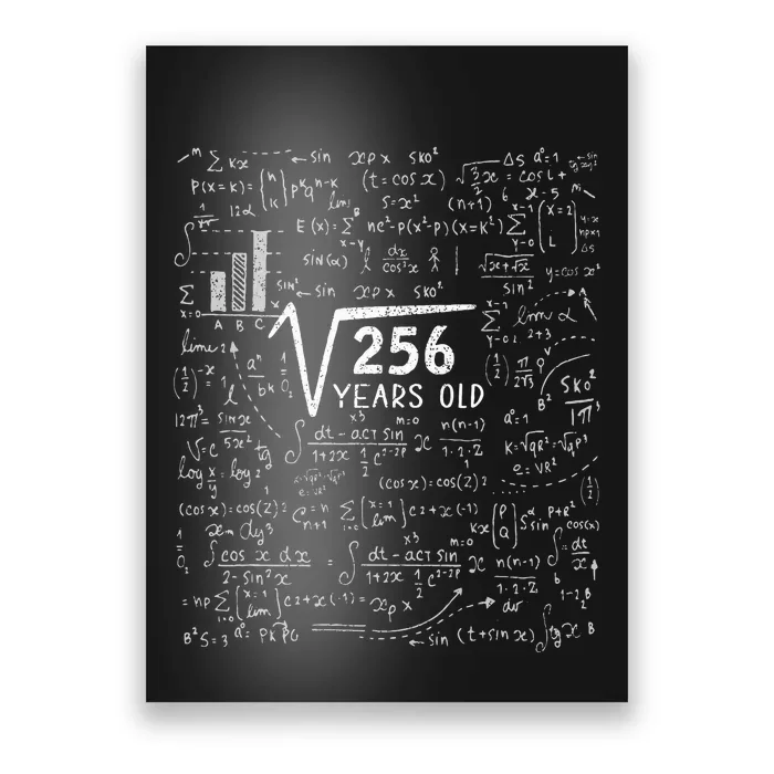 Square Root Of 256 16th Birthday 16 Year Old Gifts Math Bday Poster