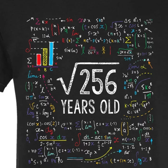 Square Root Of 256 16th Birthday 16 Year Old Gifts Math Bday Garment-Dyed Heavyweight T-Shirt