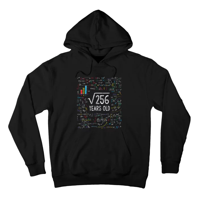 Square Root Of 256 16th Birthday 16 Year Old Gifts Math Bday Hoodie