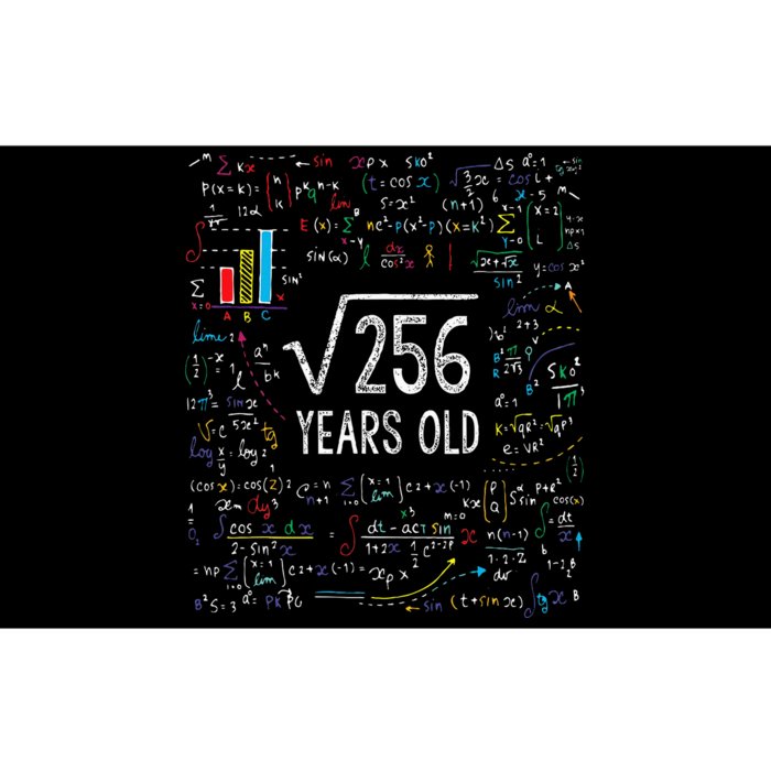 Square Root Of 256 16th Birthday 16 Year Old Gifts Math Bday Bumper Sticker