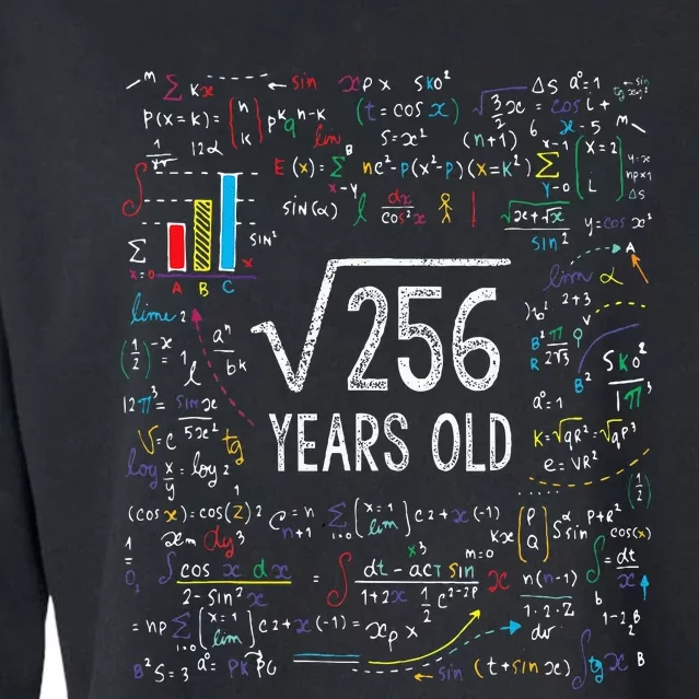 Square Root Of 256 16th Birthday 16 Year Old Gifts Math Bday Cropped Pullover Crew