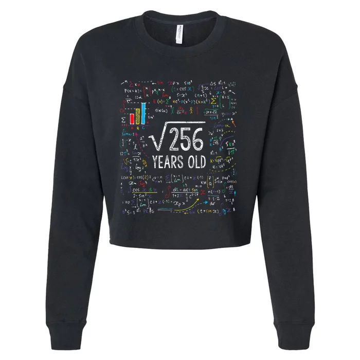 Square Root Of 256 16th Birthday 16 Year Old Gifts Math Bday Cropped Pullover Crew