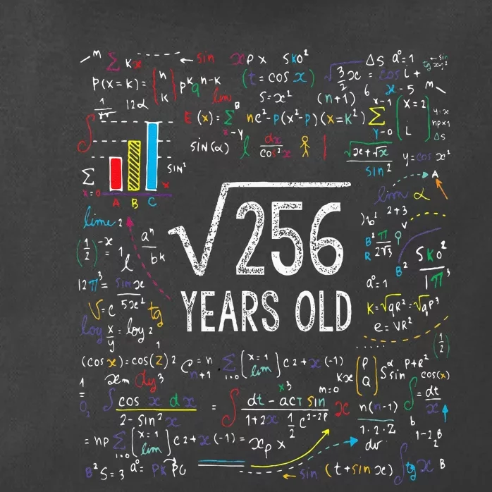 Square Root Of 256 16th Birthday 16 Year Old Gifts Math Bday Zip Tote Bag