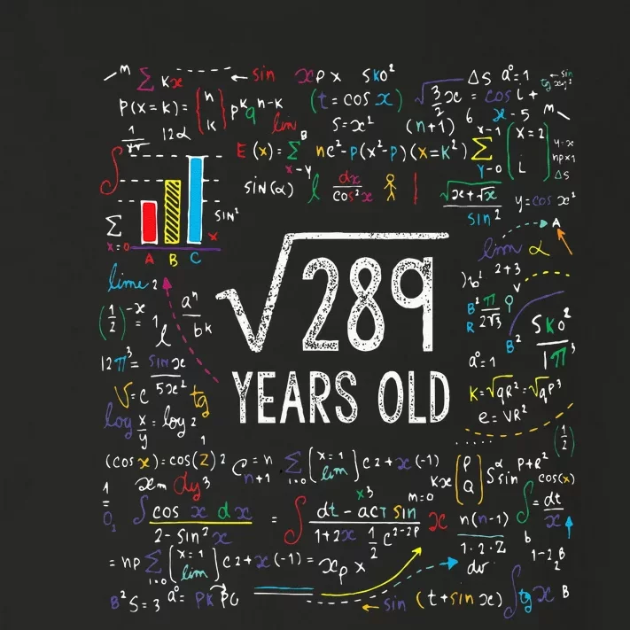 Square Root Of 289 17th Birthday 17 Year Old Gifts Math Bday Toddler Long Sleeve Shirt