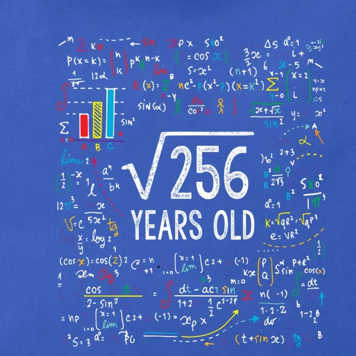 Square Root Of 256 16th Birthday Funny Gift 16 Year Old Gifts Math Bday Zip Tote Bag