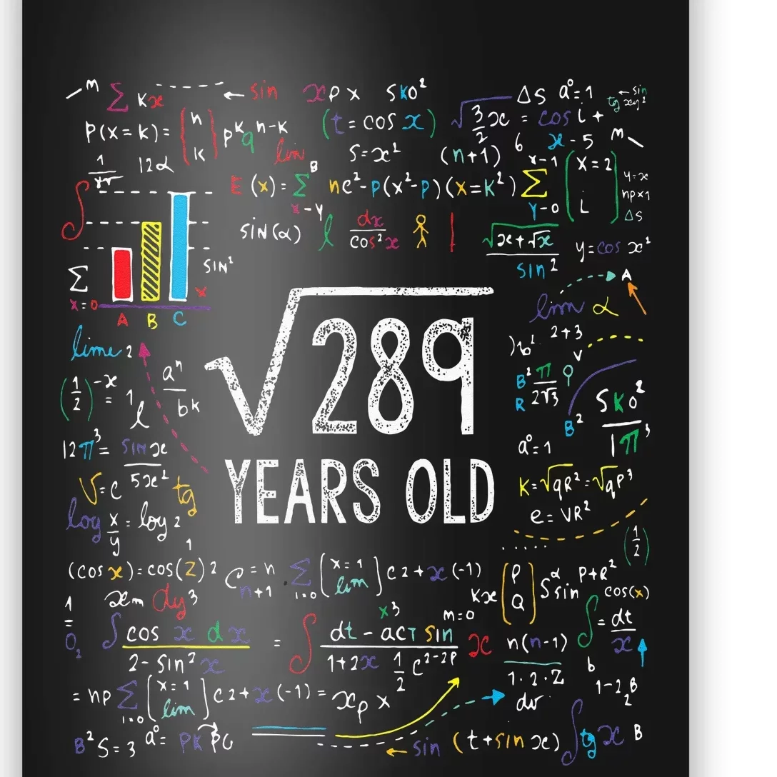 Square Root Of 289 17th Birthday 17 Year Old Gifts Math Bday Poster