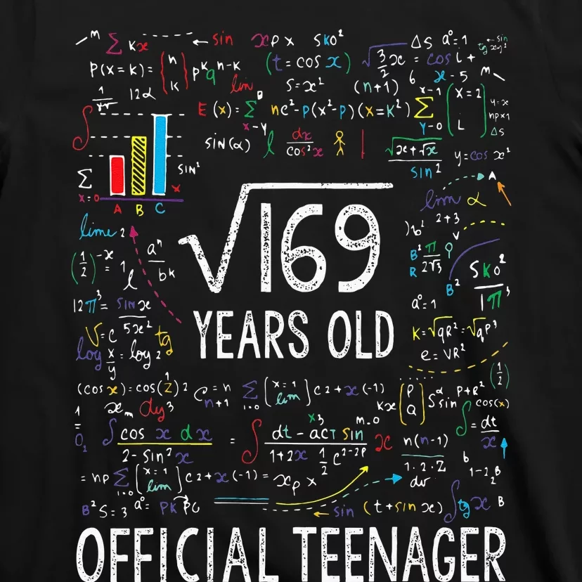 Square Root Of 169 13 Years Old Nager Birthday T-Shirt