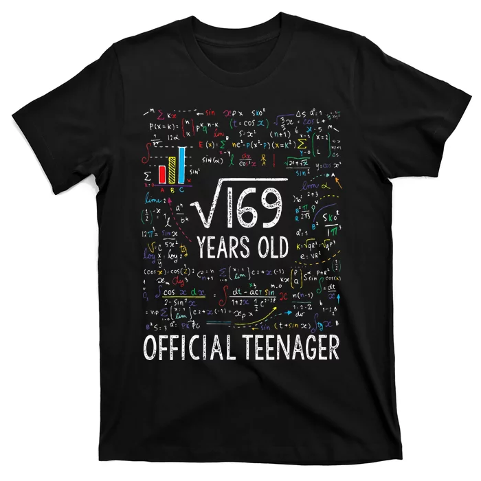 Square Root Of 169 13 Years Old Nager Birthday T-Shirt