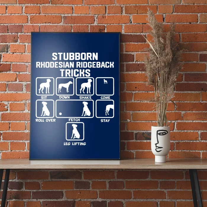 Stubborn Rhodesian Ridgeback Tricks Poster