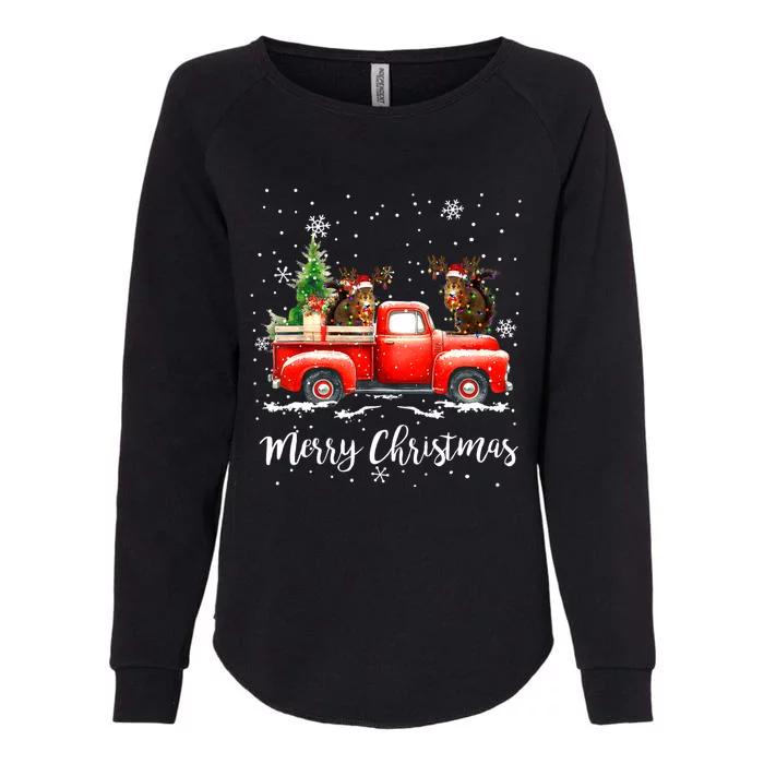 Squirrel Riding Red Truck Christmas Decorations Pajama Womens California Wash Sweatshirt