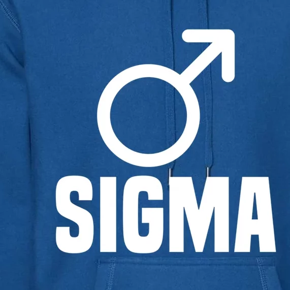 S Reliant Successful Sigma Male Gift Premium Hoodie