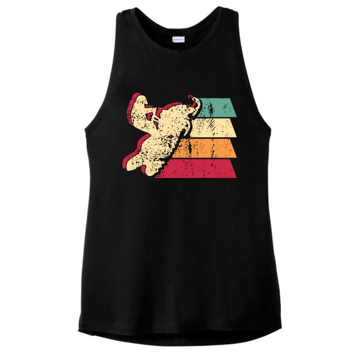 Snowmobiling Retro Vintage Ladies Tri-Blend Wicking Tank