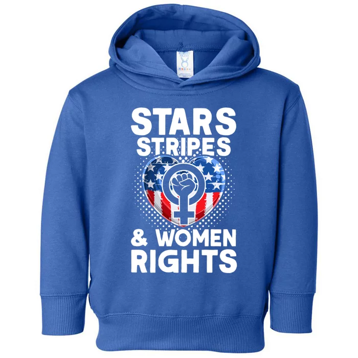 Stars Stripes And Rights 4th Of July Equal Rights Meaningful Gift Toddler Hoodie