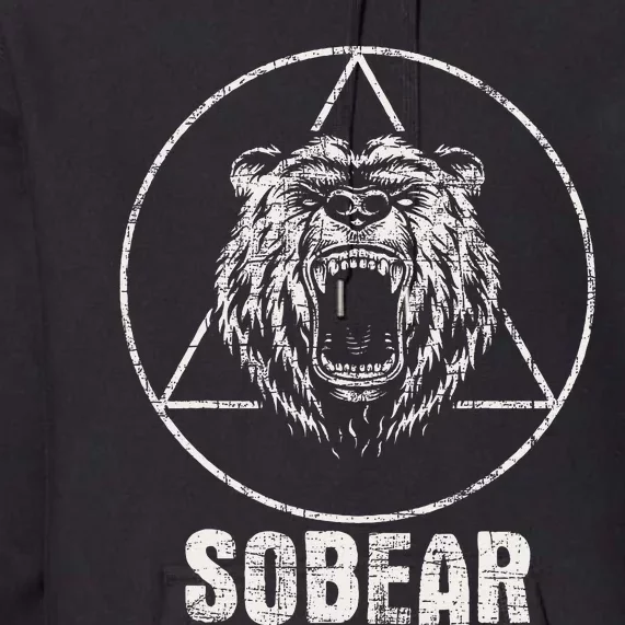 Sobear Sobriety Anniversary Sober Aa Na Recovery Premium Hoodie