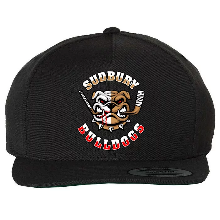 SHORESY Sudbury Blueberry Bulldogs Sudbury Bulldogs Letterkenny Wool Snapback Cap