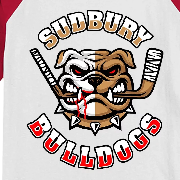 SHORESY Sudbury Blueberry Bulldogs Sudbury Bulldogs Letterkenny Kids  Colorblock Raglan Jersey