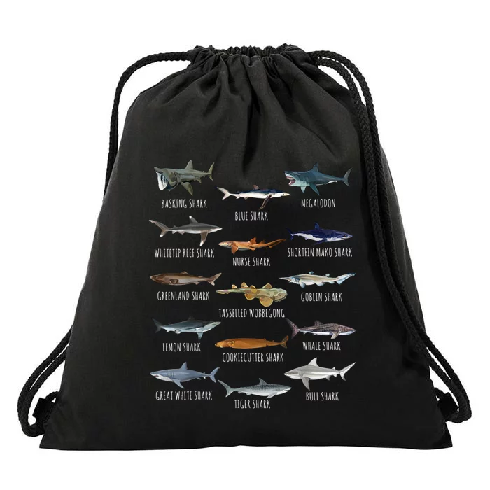 Shark Species Biology Different Types Of Sharks Drawstring Bag