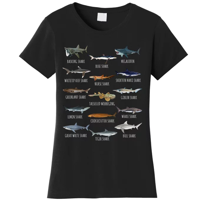 Shark Species Biology Different Types Of Sharks Women's T-Shirt