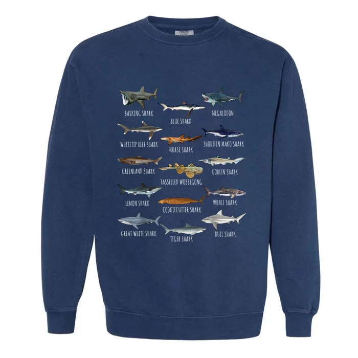 Shark Species Biology Different Types Of Sharks Garment-Dyed Sweatshirt