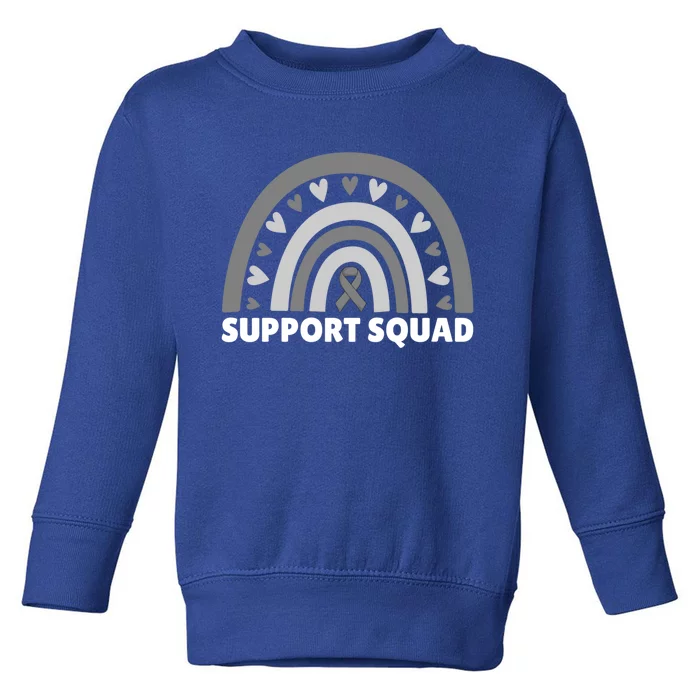 Support Squad Brain Cancer Brain Tumor Awareness Rainbow Gift Toddler Sweatshirt