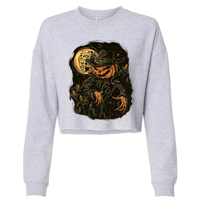 Scarecrow Cropped Pullover Crew