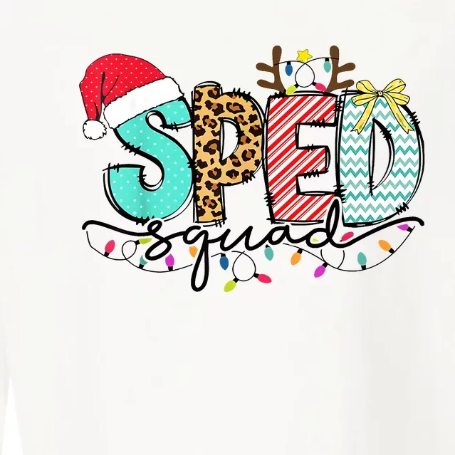 Sped Squad Christmas Lights Special Education Teacher Christmas Cropped Pullover Crew