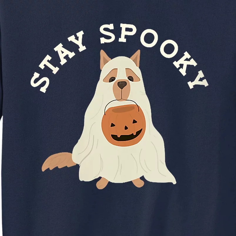 Stay Spooky Dog With Pumpkin Horror Lover Gifts Tall Sweatshirt