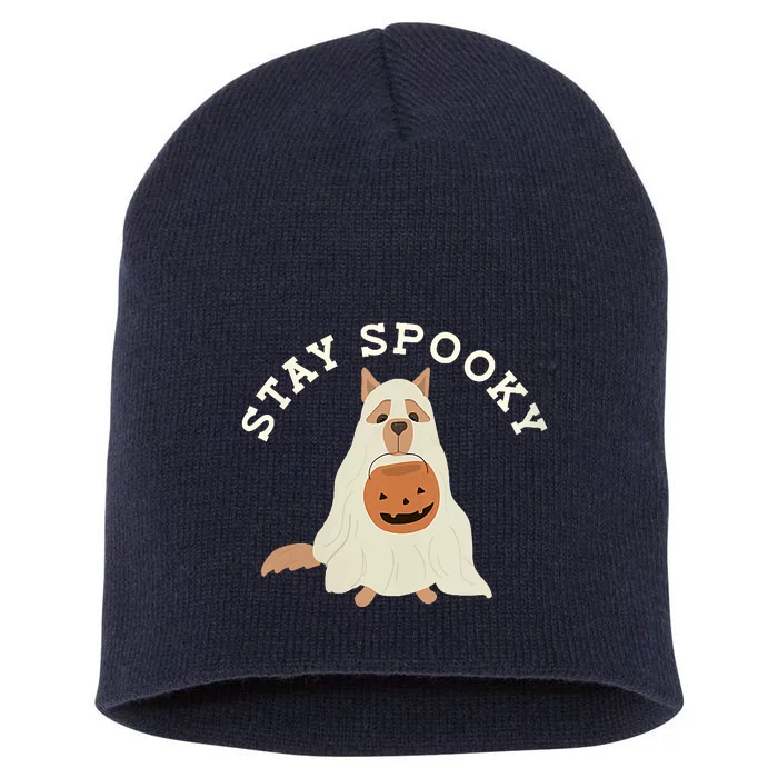 Stay Spooky Dog With Pumpkin Horror Lover Gifts Short Acrylic Beanie