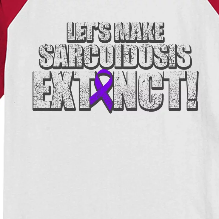 Sarcoidosis Survivor Extinction Awareness Warrior Gift Kids Colorblock Raglan Jersey