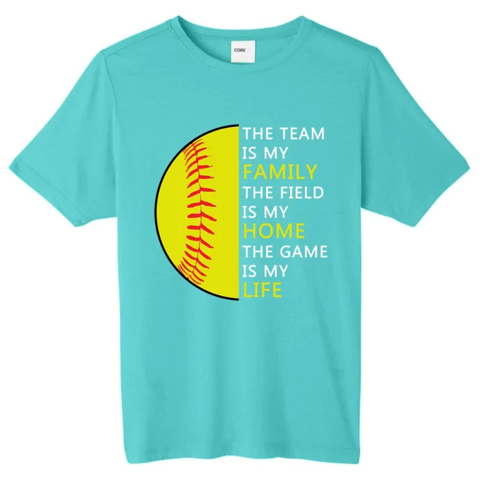 Softball Senior Funny Gift Softball Coach Funny Gift ChromaSoft Performance T-Shirt