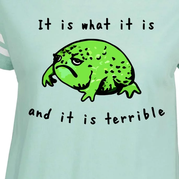 Shithead Steve Frog It Is What It Is And It Is Terrible Enza Ladies Jersey Football T-Shirt