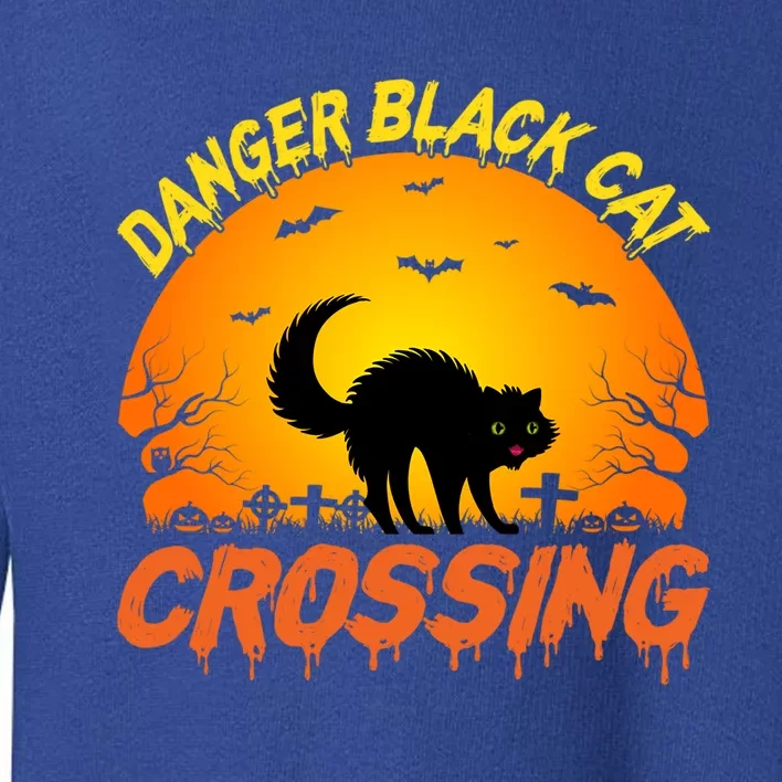 Scary Spooky Halloween Graveyard Cat Crossing Gift Toddler Sweatshirt