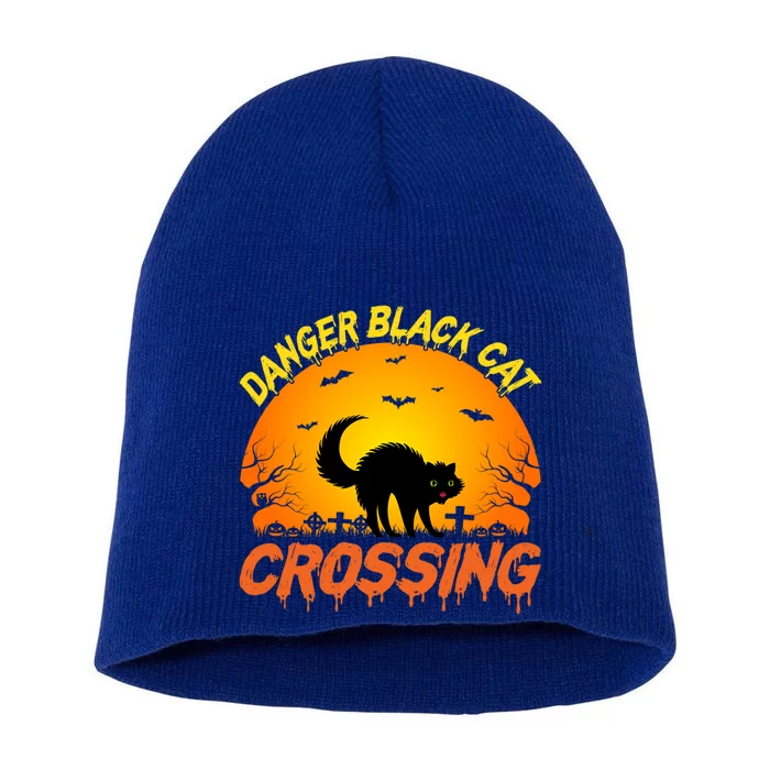 Scary Spooky Halloween Graveyard Cat Crossing Gift Short Acrylic Beanie