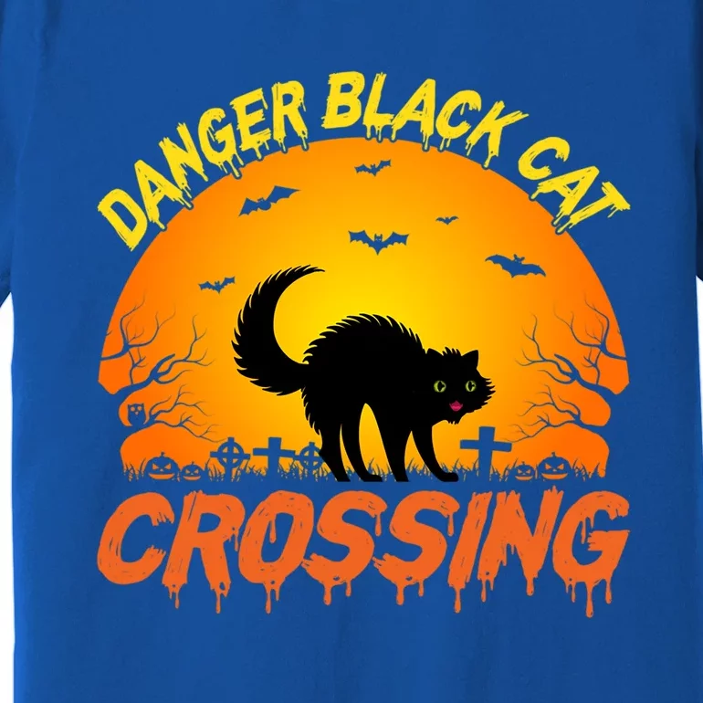 Scary Spooky Halloween Graveyard Cat Crossing Great Gift Premium T-Shirt