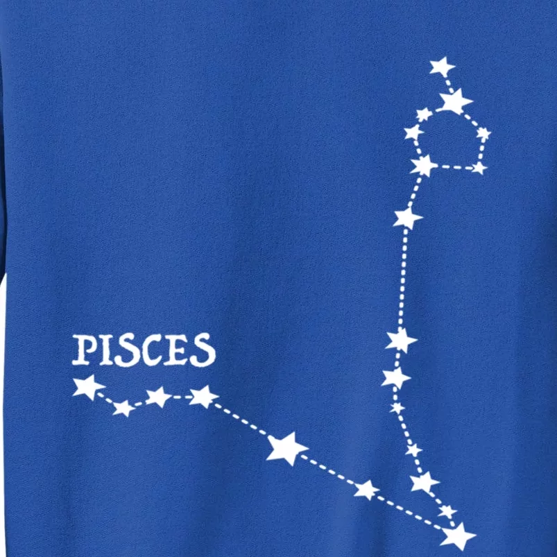 Star Sign Horoscope Pisces Cool Gift Sweatshirt