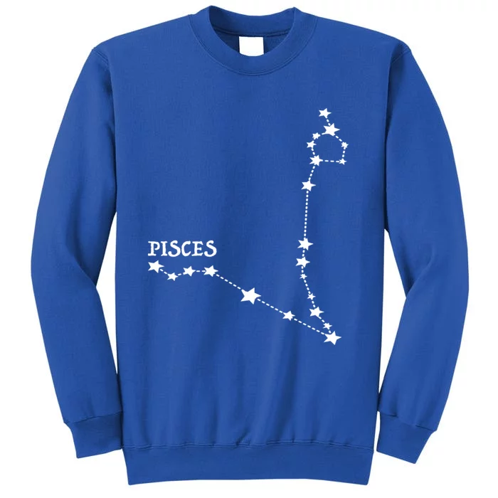 Star Sign Horoscope Pisces Cool Gift Sweatshirt