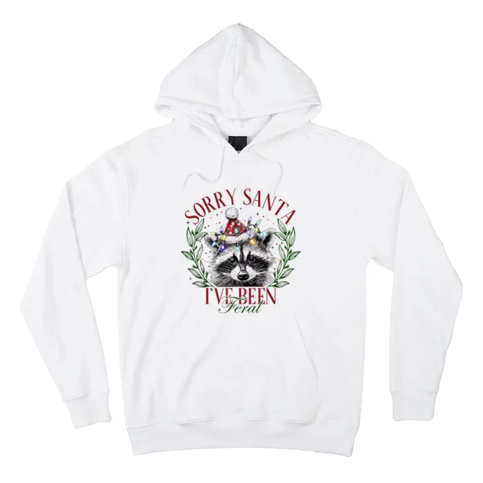 Sorry Santa IVe Been Feral Cute Raccoon Christmas Santa Hoodie