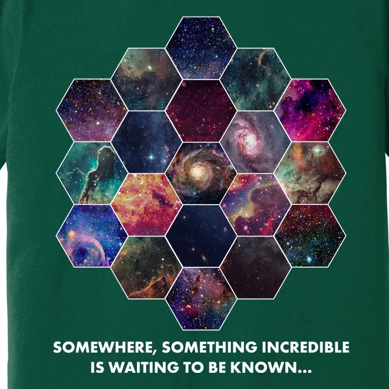 Somewhere Something Incredible Is Waiting To Be Known Premium T-Shirt