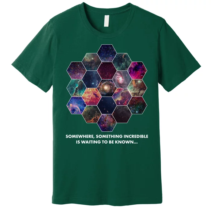 Somewhere Something Incredible Is Waiting To Be Known Premium T-Shirt