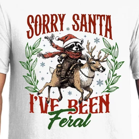 Sorry Santa I’Ve Been Feral Raccoon Riding Horse Pajama Set