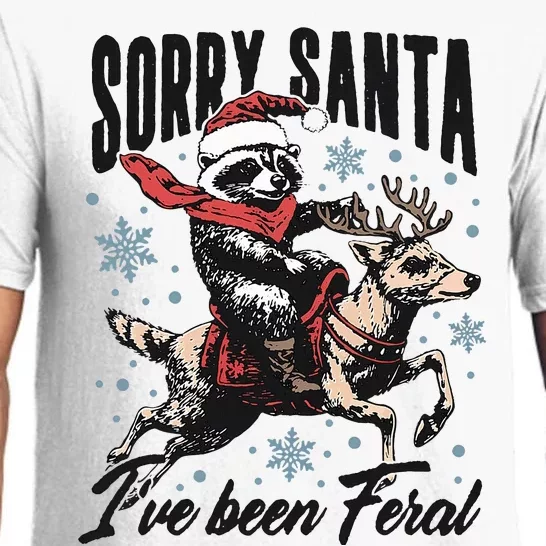 Sorry Santa I’Ve Been Feral Raccoon Riding Horse Pajama Set