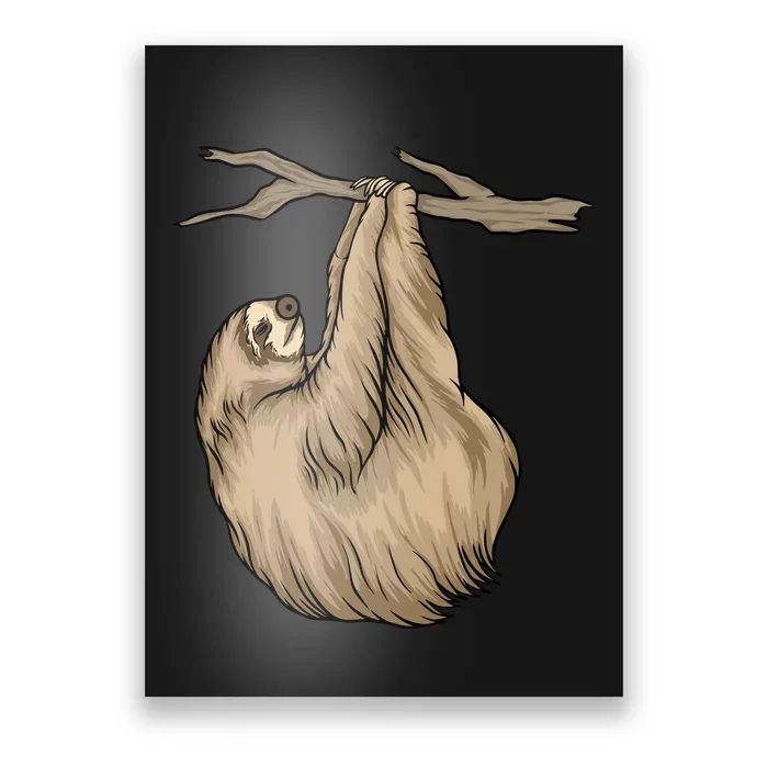 Sloth Poster